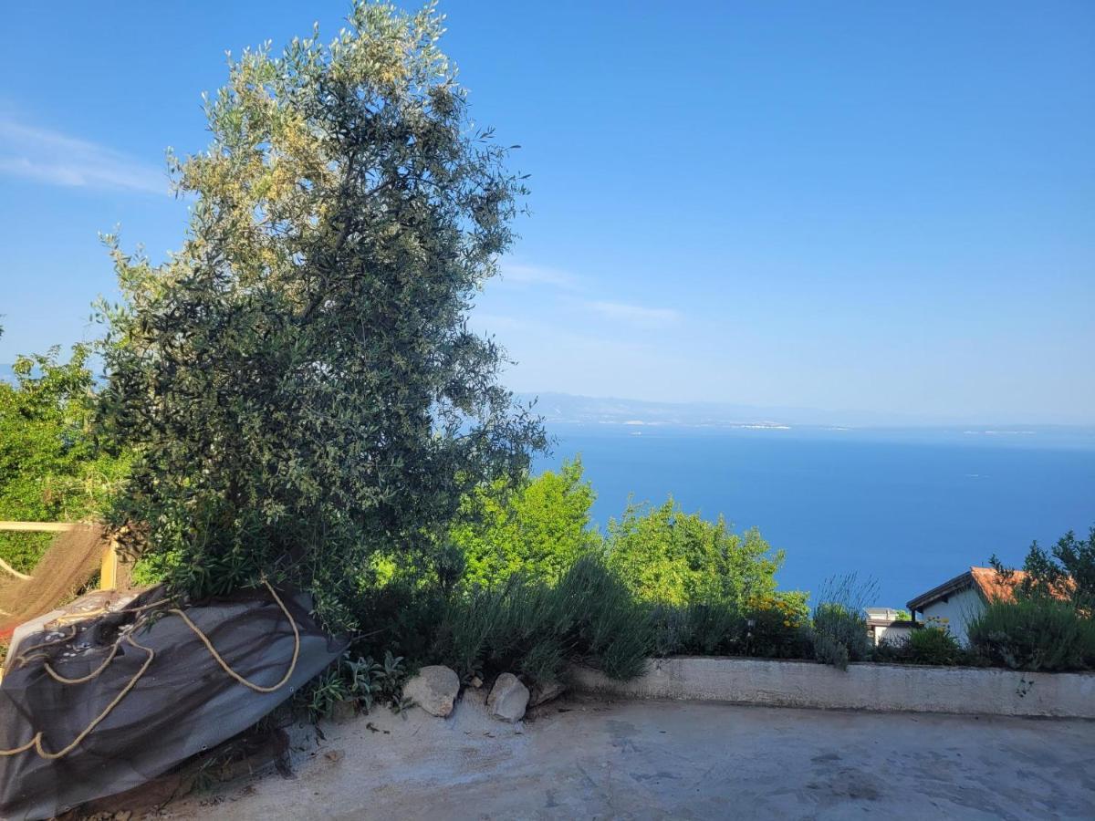 Apartments Chiara Mit Meerblick Und Pool Und Jacuzzi Lovran Exterior foto