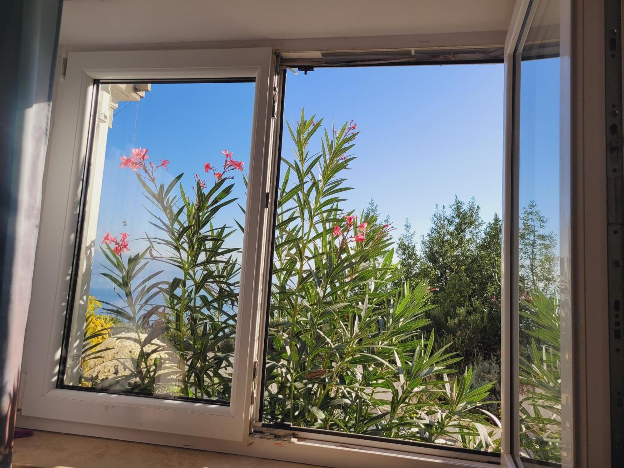 Apartments Chiara Mit Meerblick Und Pool Und Jacuzzi Lovran Exterior foto