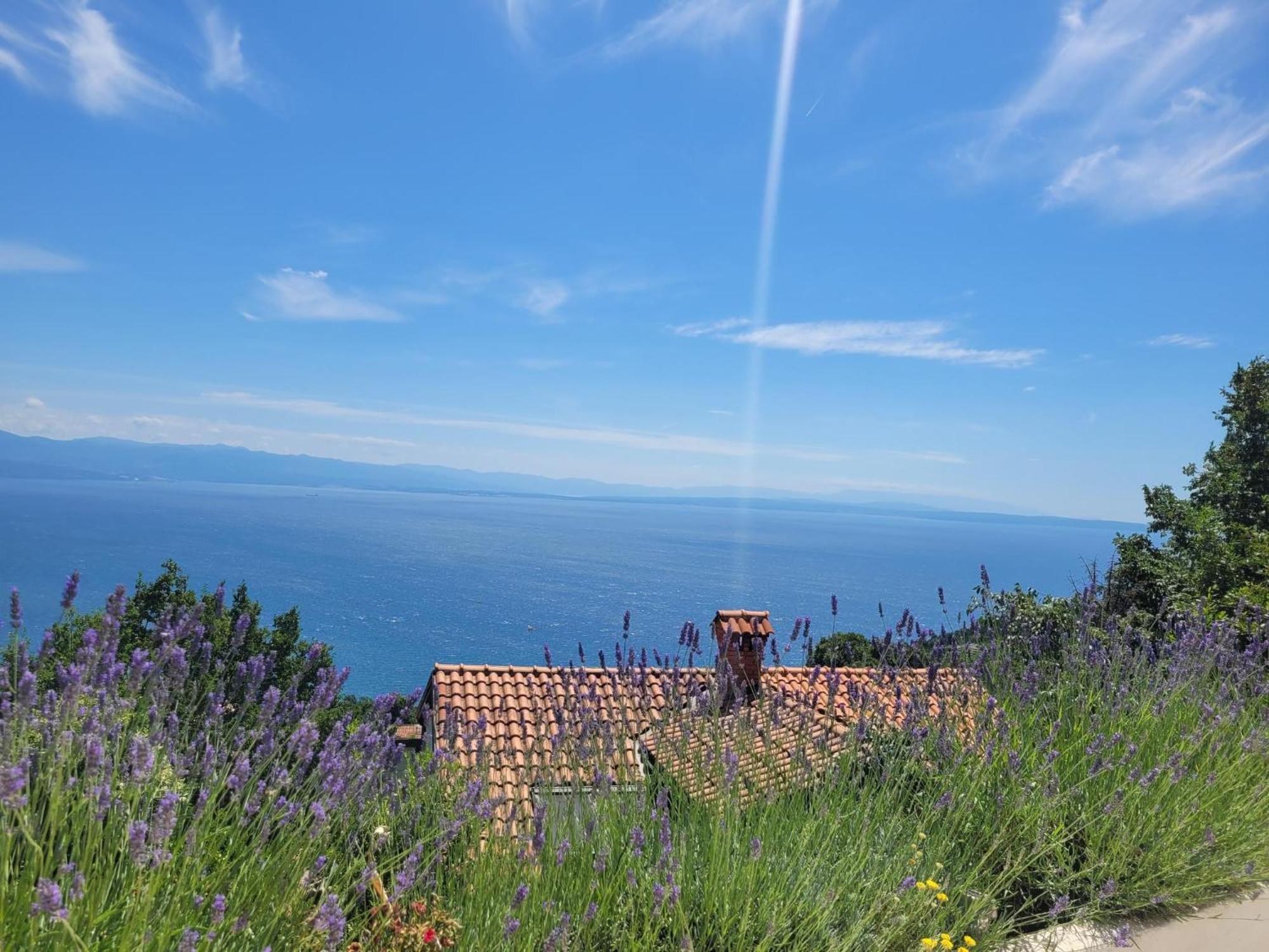 Apartments Chiara Mit Meerblick Und Pool Und Jacuzzi Lovran Exterior foto